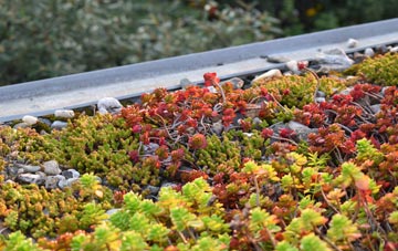 the cost of Blackthorn green roof installation
