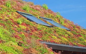 Blackthorn living roof systems